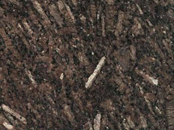 皇室啡(fei)1號(hao)