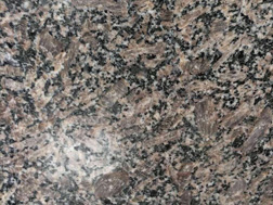 新(xin)皇室啡(fei)