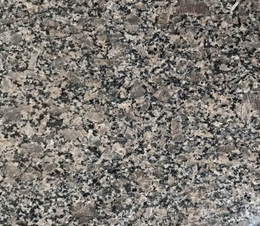 皇(huang)室(shi)啡(fei)（不染色）