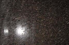 皇(huang)室啡(fei)米粒(li)蘤(hua)