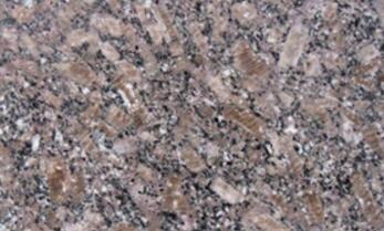 新(xin)品(pin)皇室(shi)啡