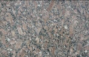 皇室(shi)啡(fei)玫(mei)瓌長(zhang)蘤